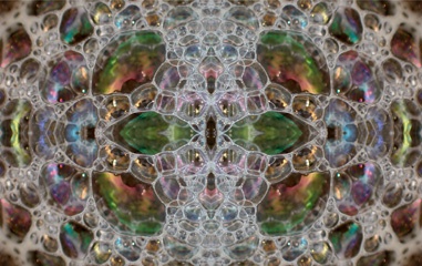 P5038595Kal1.jpg
